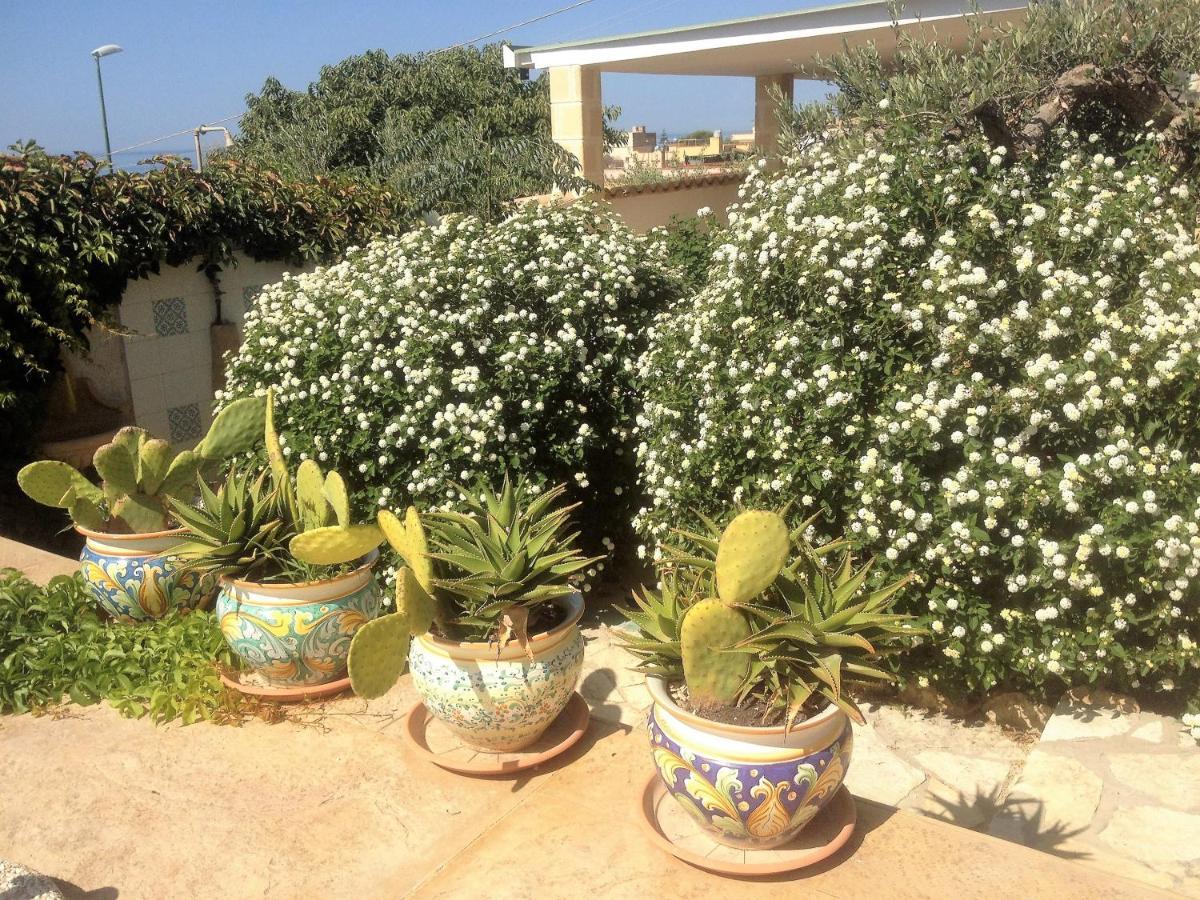 Villa Ceni - Appartamenti Con Camere, Cucina, Wc E Terrazza Sul Mare In Villa Con Piscina, Giardino E Parcheggio マリネッラ エクステリア 写真