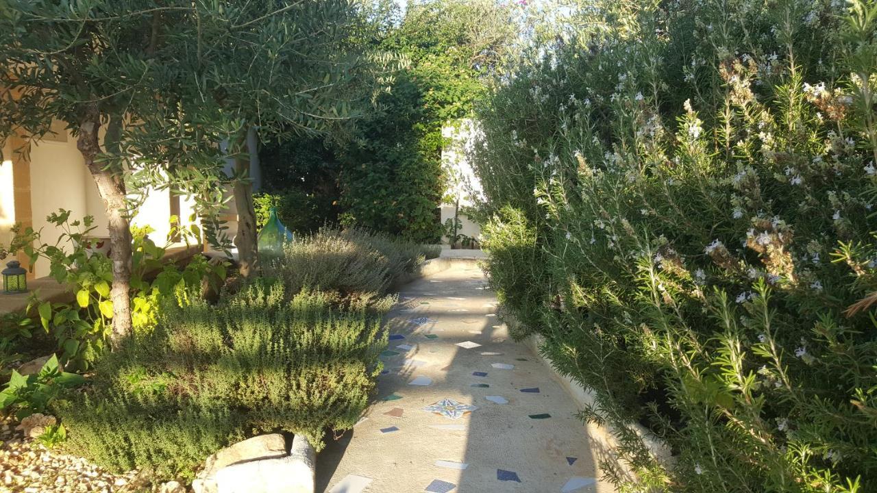 Villa Ceni - Appartamenti Con Camere, Cucina, Wc E Terrazza Sul Mare In Villa Con Piscina, Giardino E Parcheggio マリネッラ エクステリア 写真
