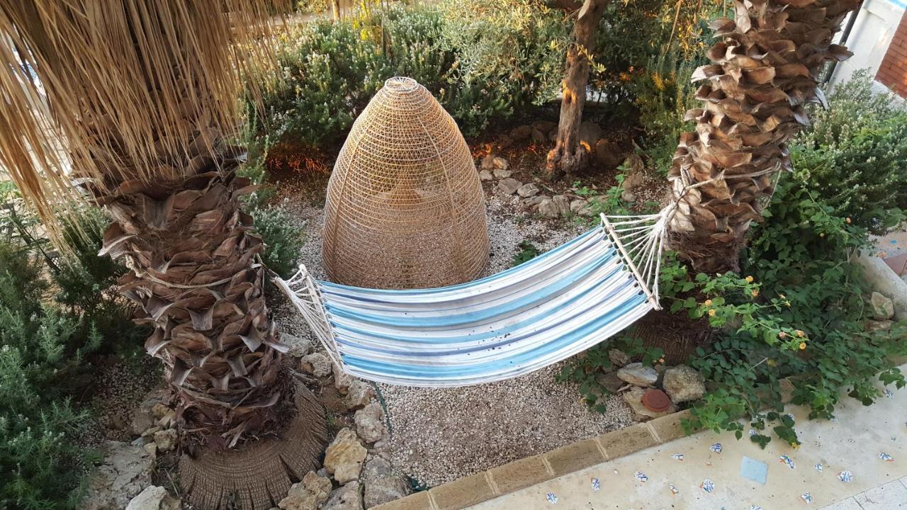 Villa Ceni - Appartamenti Con Camere, Cucina, Wc E Terrazza Sul Mare In Villa Con Piscina, Giardino E Parcheggio マリネッラ エクステリア 写真